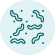 Ringworm icon